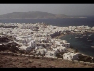 greek fig tree / griechische feigen (1976)